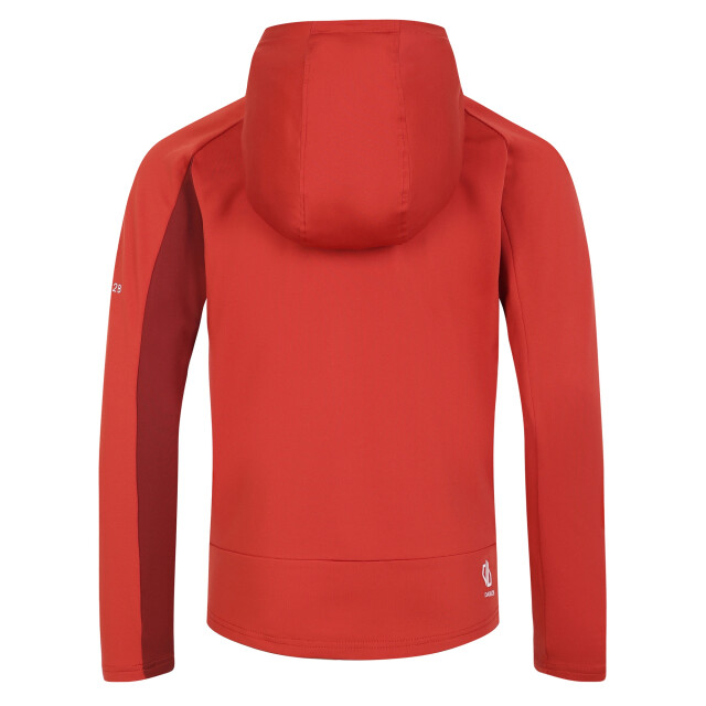 Dare2b Kinder/kids thriving ii midlayer UTRG10060_cinnamontuscanred large