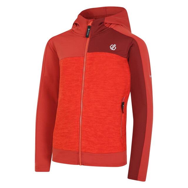Dare2b Kinder/kids thriving ii midlayer UTRG10060_cinnamontuscanred large