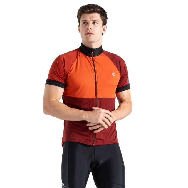 Dare2b Heren protraction iii fietstrui UTRG10761_cinnamonsyrahred large