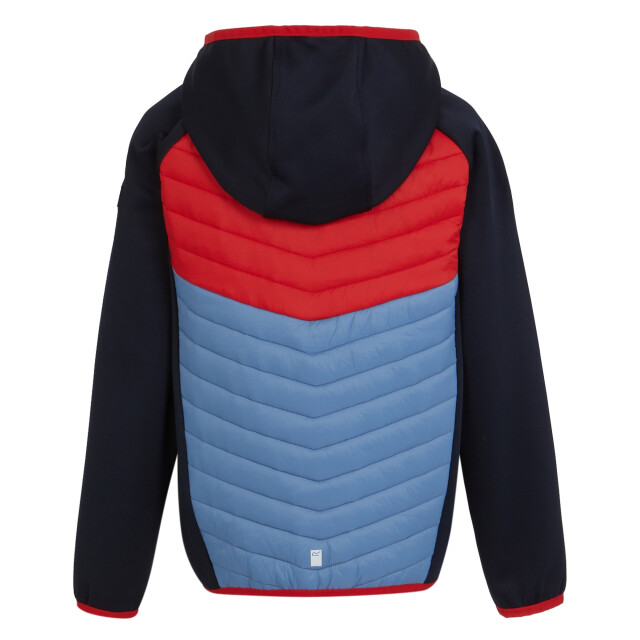 Regatta Kinders/kids kielder viii hybride jas UTRG9921_dustygreendeeppink large