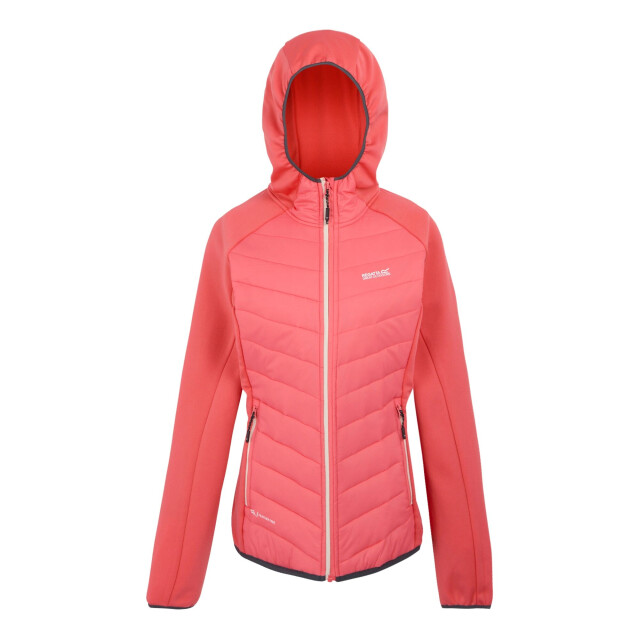 Regatta Dames andreson viii hybride jas UTRG9336_peachbloomsealgrey large