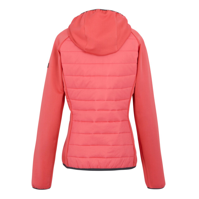 Regatta Dames andreson viii hybride jas UTRG9336_peachbloomsealgrey large