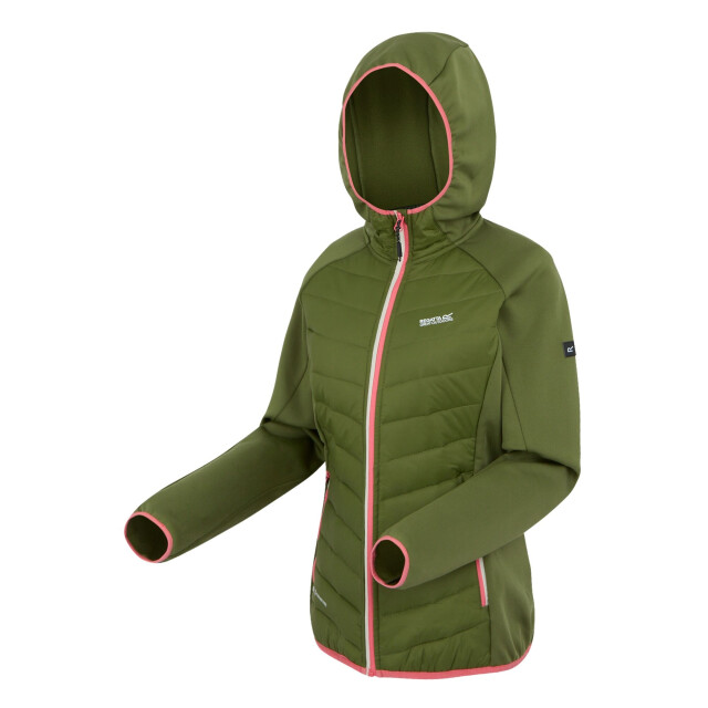 Regatta Dames andreson viii hybride jas UTRG9336_nephritegreenpeachbloom large