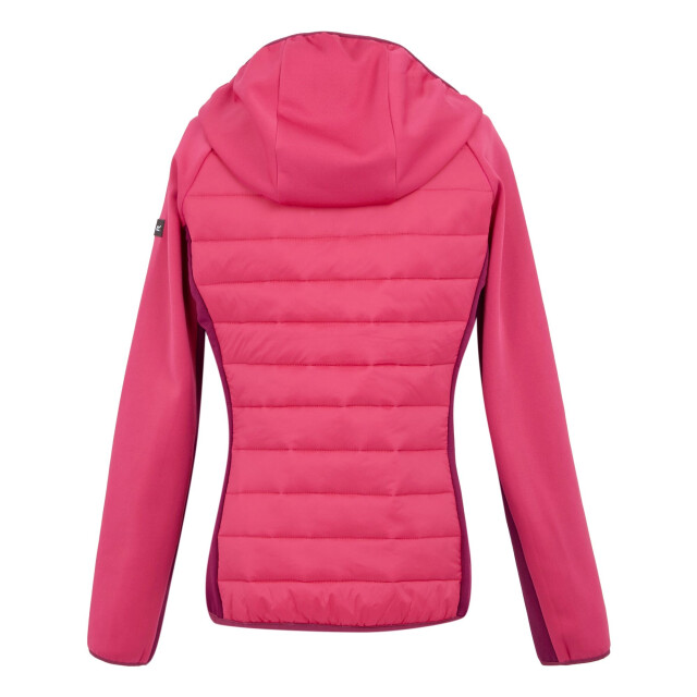 Regatta Dames andreson viii hybride jas UTRG9336_popbeaujolais large