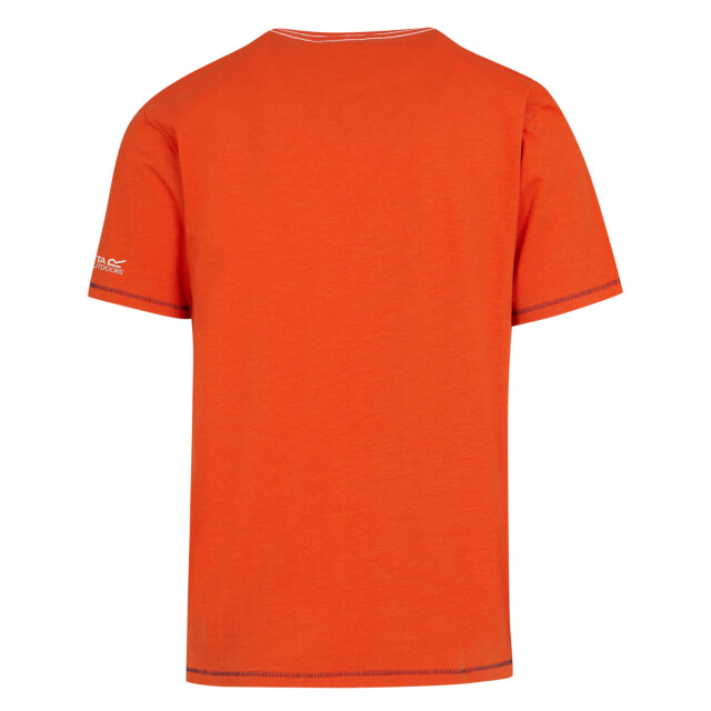 Regatta Heren rayonner t-shirt UTRG9942_rustyorange large