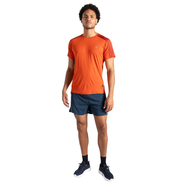 Dare2b Heren onzichtbaar iii t-shirt UTRG8693_cinnamontuscanred large