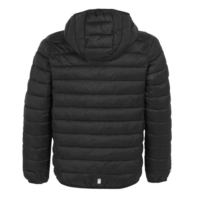 Regatta Marizion gewatteerde jas met capuchon voor kinderen/kinderen UTRG9018_black large