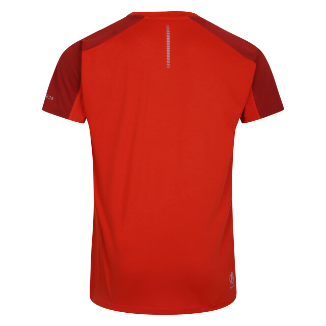 Dare2b Heren onzichtbaar iii t-shirt UTRG8693_cinnamontuscanred large