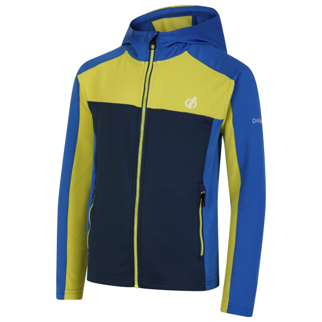 Dare2b Childrens/kids thriving core stretch hooded midlayer UTRG8625_olympianblueyellowplum large