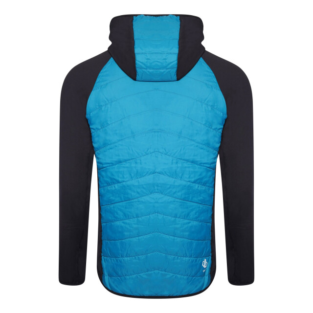 Dare2b Heren mountaineer wol hybride jas UTRG7096_blackfjordblue large
