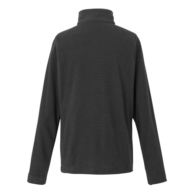 Regatta Geweldige outdoor dames montes half zip fleece top UTRG1953_sealgreyash large