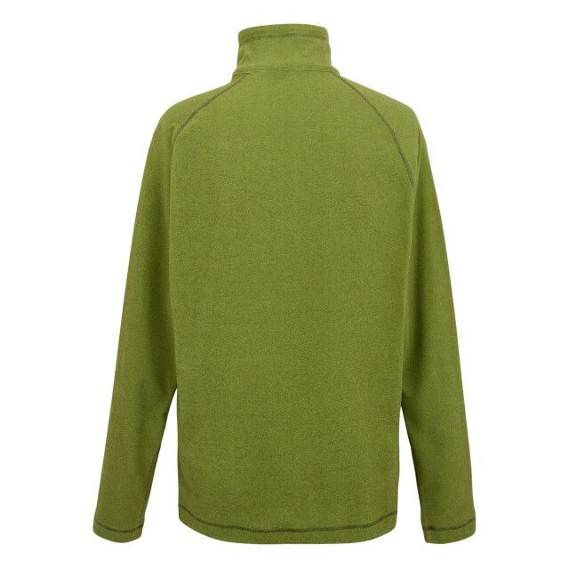 Regatta Great outdoors heren montes fleece sweater met trechter nek UTRG1880_grenoblegreennephritegreen large