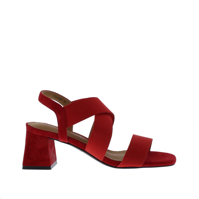 Di Lauro Alida elastiek sandaal | dames | maat: | stof en immitatieleer 110025 large