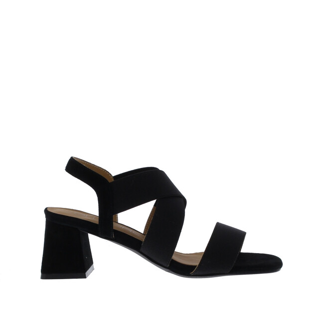 Di Lauro Alida elastiek sandaal | dames | maat: | stof en immitatieleer 110025 large