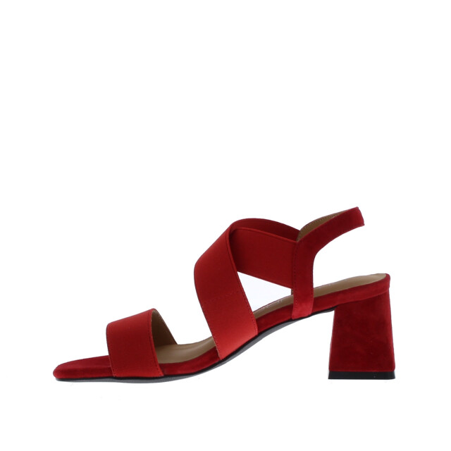Di Lauro Alida elastiek sandaal | dames | maat: | stof en immitatieleer 110025 large