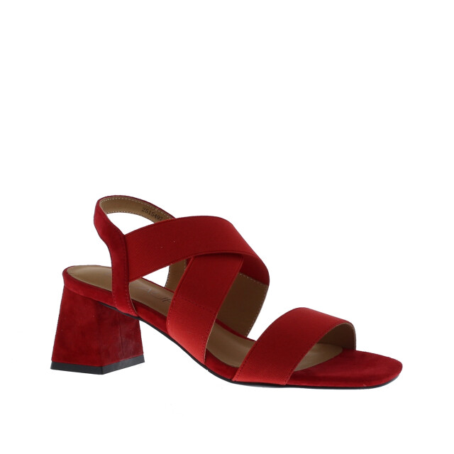 Di Lauro Alida elastiek sandaal | dames | maat: | stof en immitatieleer 110025 large