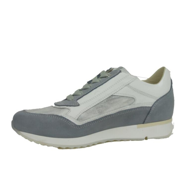 DL Sport 6216 6216 large