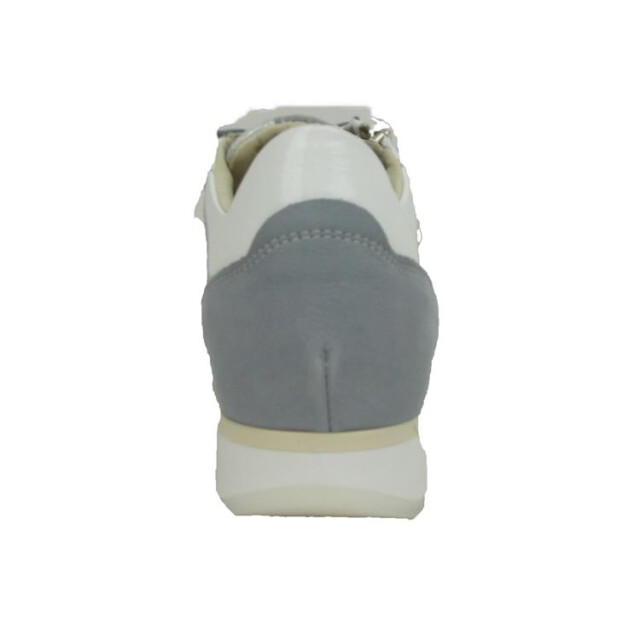 DL Sport 6216 6216 large