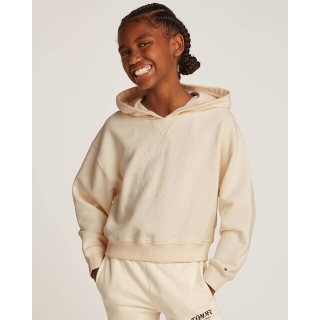 Tommy Hilfiger Hoodie kg0kg08322 Tommy Hilfiger Hoodie KG0KG08322 large