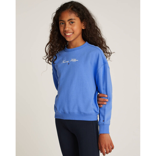 Tommy Hilfiger Sweat kg0kg08317 Tommy Hilfiger Sweat KG0KG08317 large