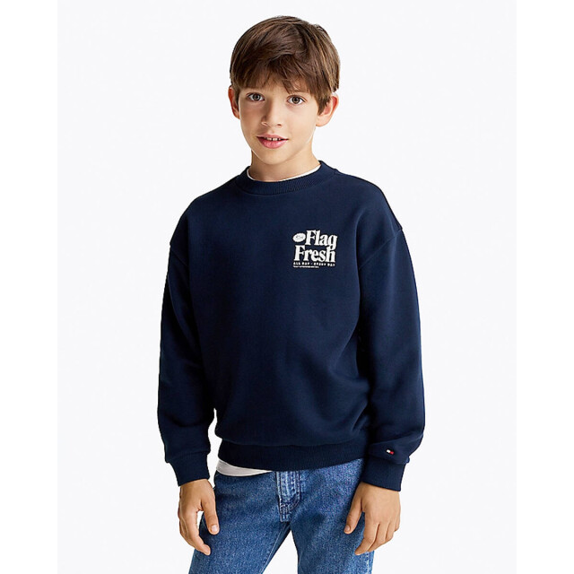 Tommy Hilfiger Sweat kb0kb09596 Tommy Hilfiger Sweat KB0KB09596 large