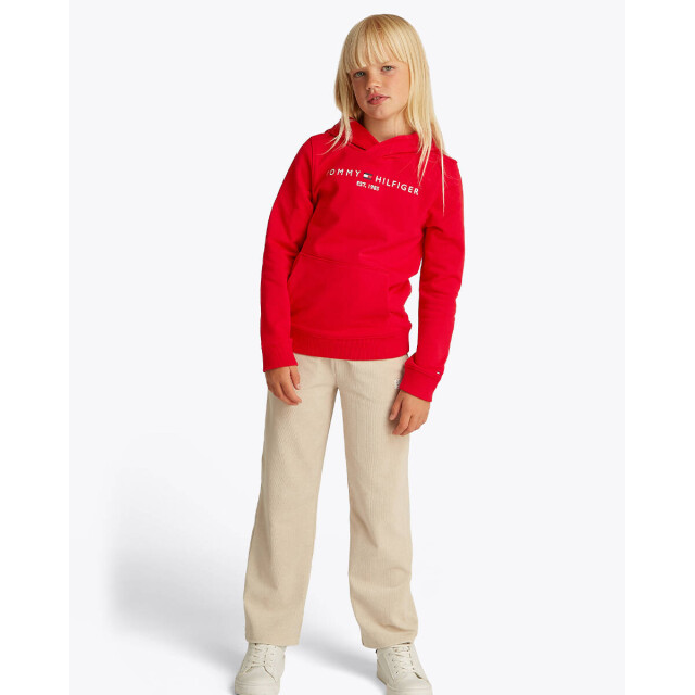 Tommy Hilfiger Hoodie ks0ks00205 Tommy Hilfiger Hoodie KS0KS00205 large