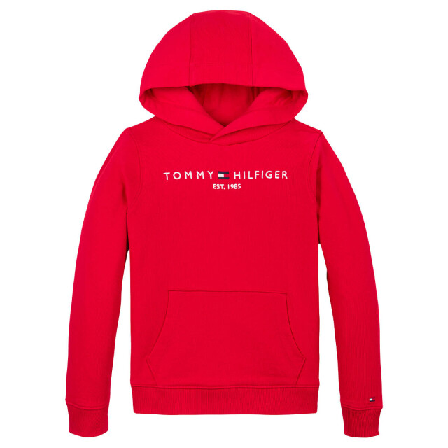 Tommy Hilfiger Hoodie ks0ks00205 Tommy Hilfiger Hoodie KS0KS00205 large