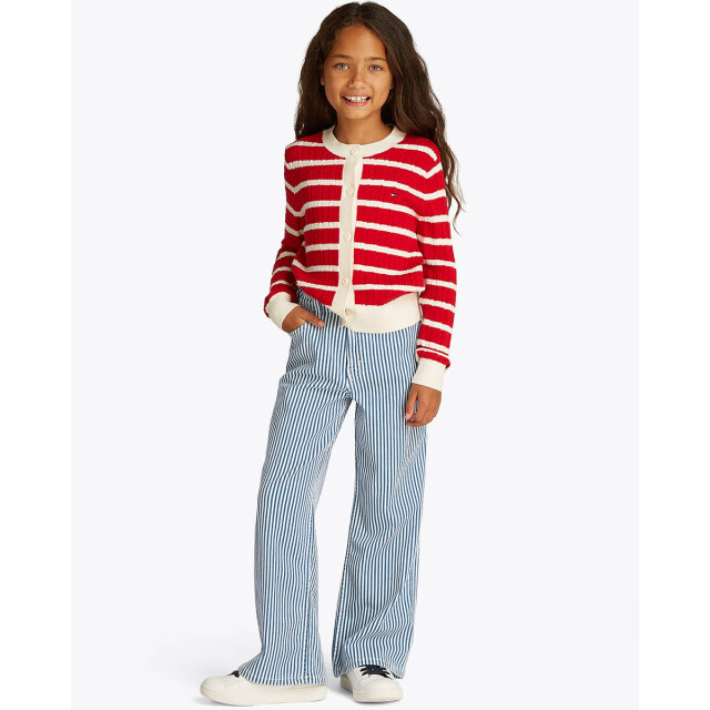 Tommy Hilfiger Broek kg0kg08405 Tommy Hilfiger Jeans KG0KG08405 large