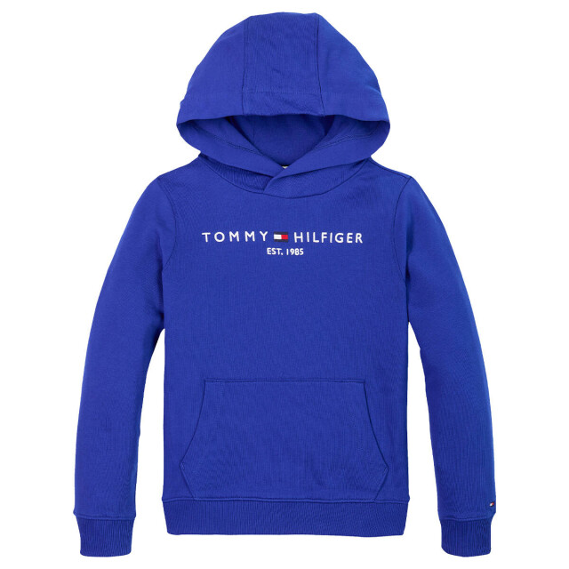 Tommy Hilfiger Hoodie ks0ks00205 Tommy Hilfiger Hoodie KS0KS00205 large