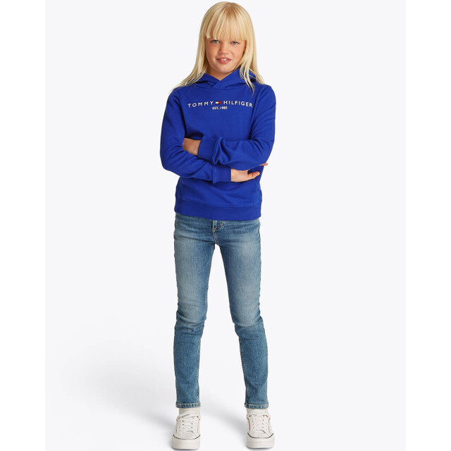Tommy Hilfiger Hoodie ks0ks00205 Tommy Hilfiger Hoodie KS0KS00205 large