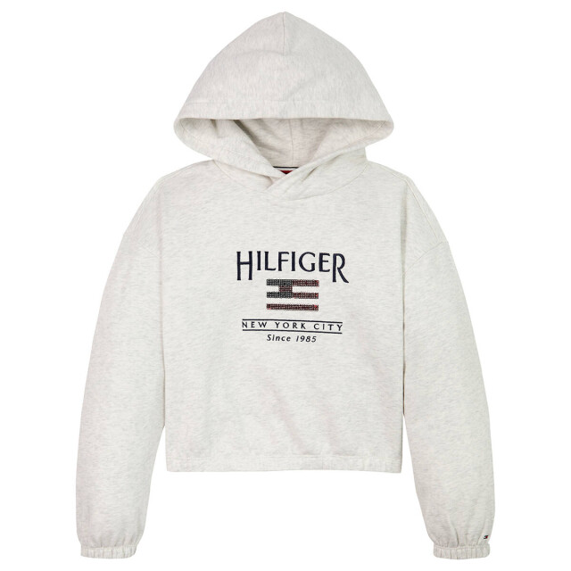 Tommy Hilfiger Hoodie kg0kg08558 Tommy Hilfiger Hoodie KG0KG08558 large