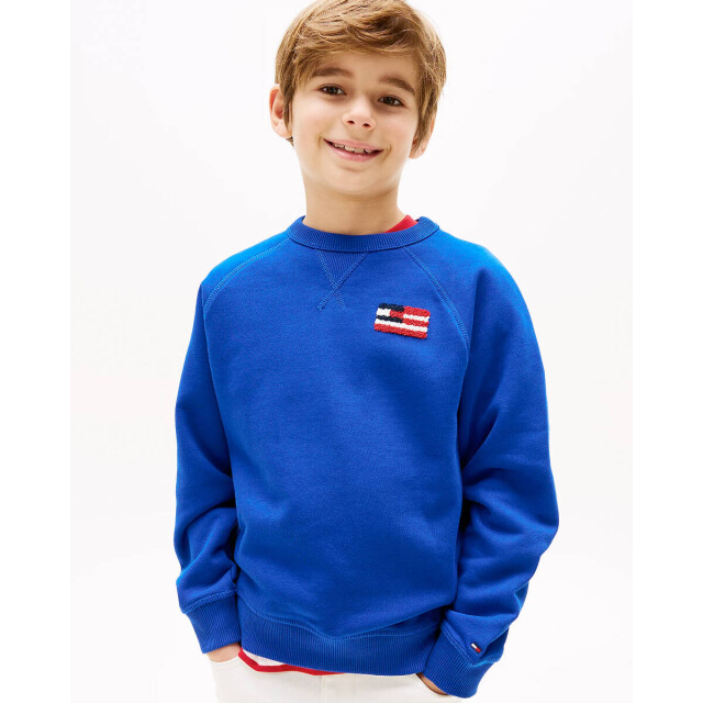 Tommy Hilfiger Sweat kb0kb09571 Tommy Hilfiger Sweat KB0KB09571 large