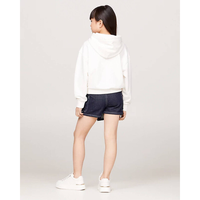 Tommy Hilfiger Hoodie kg0kg08033 Tommy Hilfiger Hoodie KG0KG08033 large
