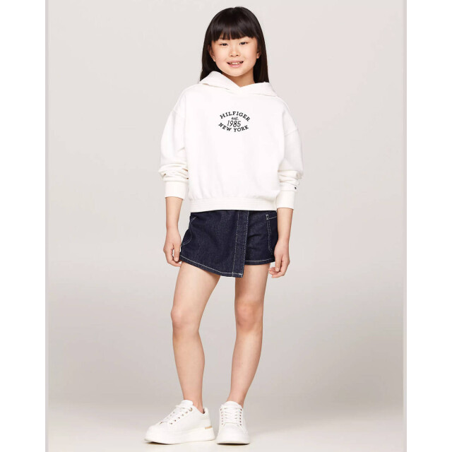 Tommy Hilfiger Hoodie kg0kg08033 Tommy Hilfiger Hoodie KG0KG08033 large