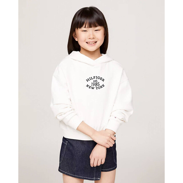 Tommy Hilfiger Hoodie kg0kg08033 Tommy Hilfiger Hoodie KG0KG08033 large