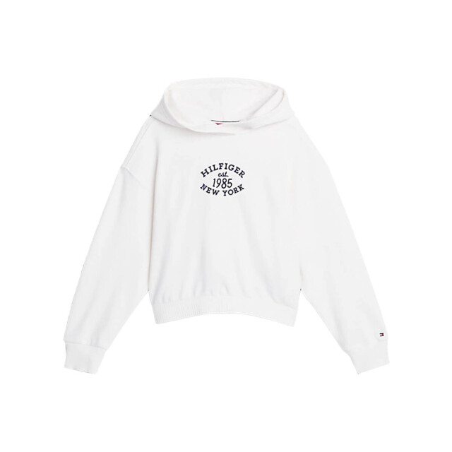 Tommy Hilfiger Hoodie kg0kg08033 Tommy Hilfiger Hoodie KG0KG08033 large