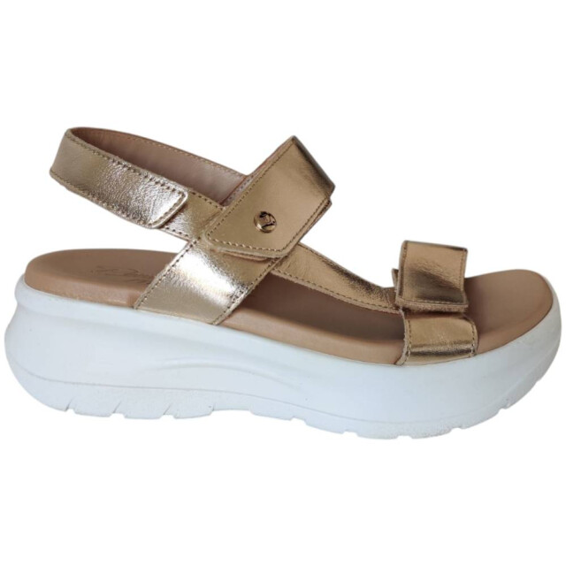 Panama Jack NOOR SHINE B1 Sandalen Goud NOOR SHINE B1 large