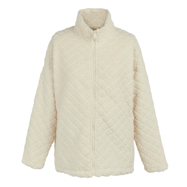 Regatta Dames apphia full zip fleecejack UTRG11171_lightvanilla large