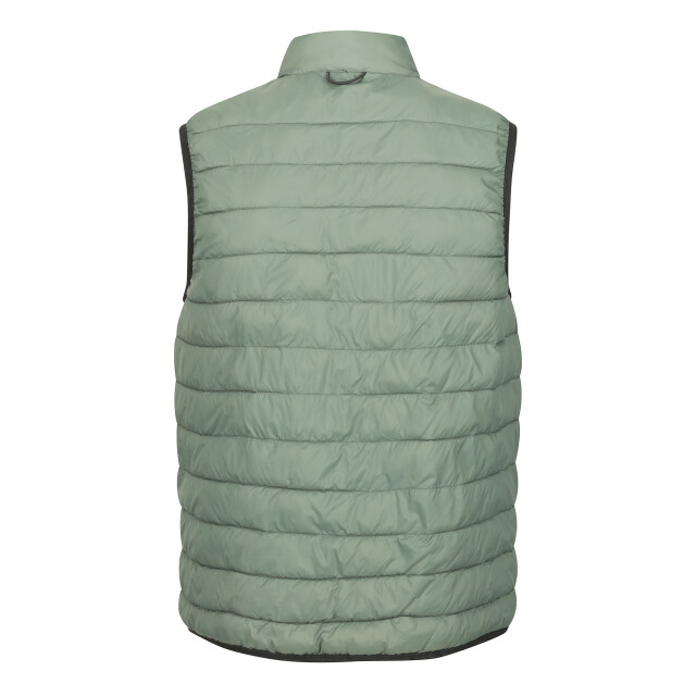 Regatta Heren hillpack ii gilet UTRG10763_agavegreen large