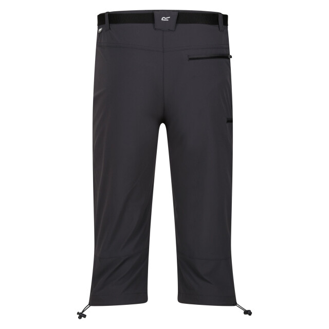 Regatta Heren xert stretch iii stretch active capri shorts UTRG10047_sealgrey large