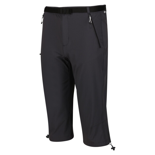Regatta Heren xert stretch iii stretch active capri shorts UTRG10047_sealgrey large