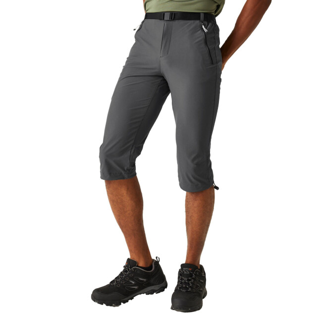 Regatta Heren xert stretch iii stretch active capri shorts UTRG10047_sealgrey large