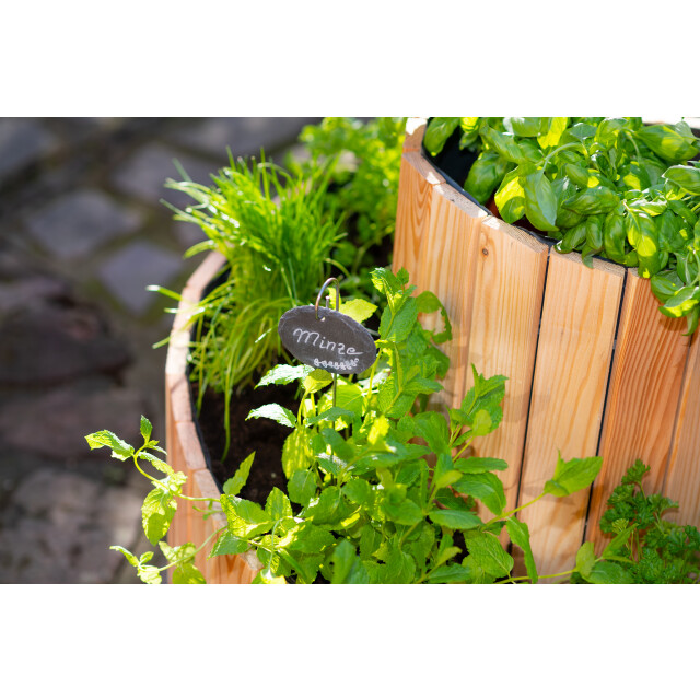 Westmann Plantenbak spiral wm102424 houten kruidenbak 55cm 3079298 large