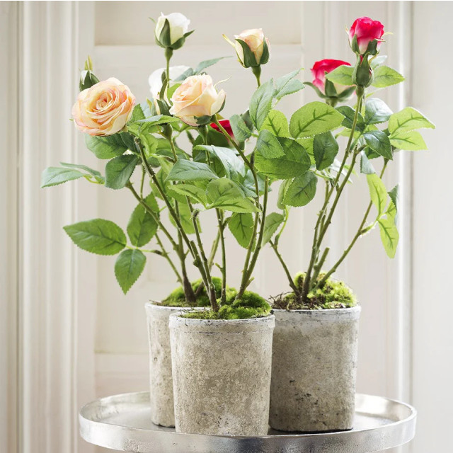 Sia Deco Rosier en pot - 3079683 large