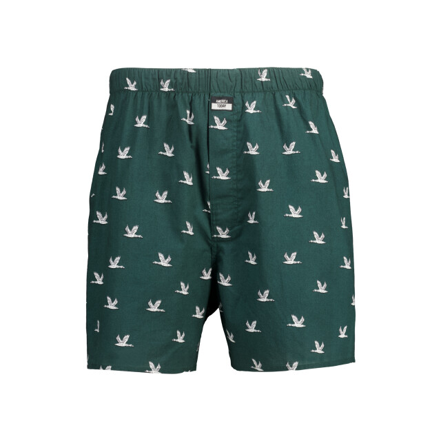 America Today Thomas boxershorts 1412002439 550 large