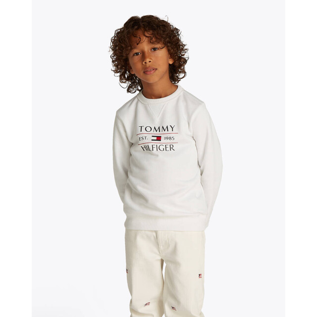 Tommy Hilfiger Sweat kb0kb09569 Tommy Hilfiger Sweat KB0KB09569 large