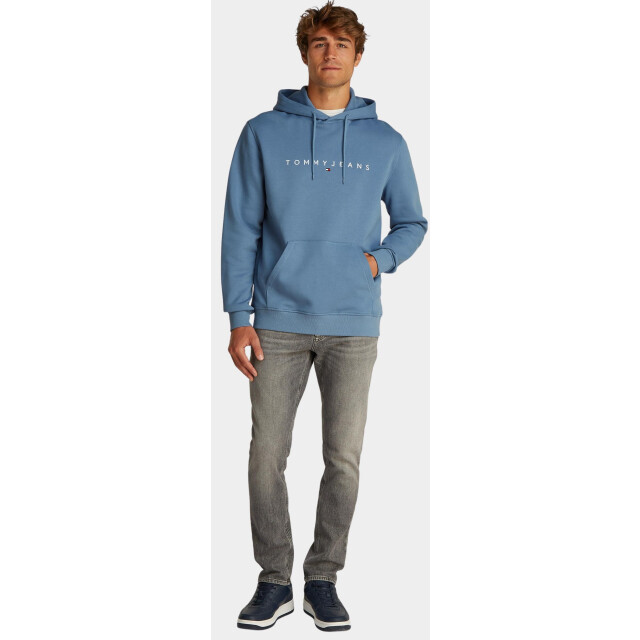 Tommy Hilfiger Sweater tjm reg linear logo hoodie ex dm0dm20746/dy6 187912 large