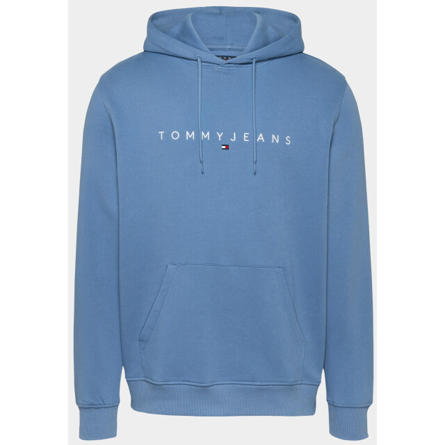 Tommy Hilfiger Sweater tjm reg linear logo hoodie ex dm0dm20746/dy6 187912 large