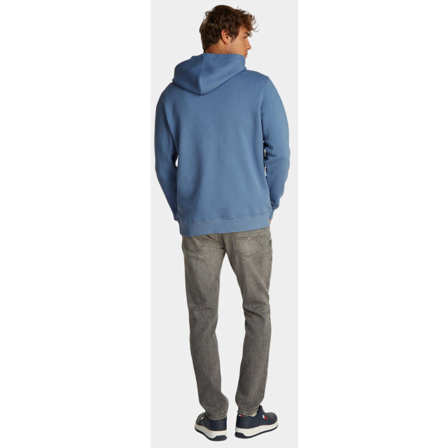 Tommy Hilfiger Sweater tjm reg linear logo hoodie ex dm0dm20746/dy6 187912 large