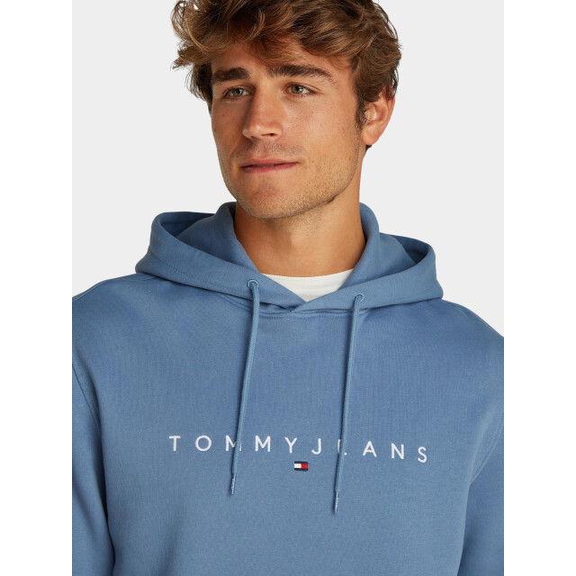 Tommy Hilfiger Sweater tjm reg linear logo hoodie ex dm0dm20746/dy6 187912 large